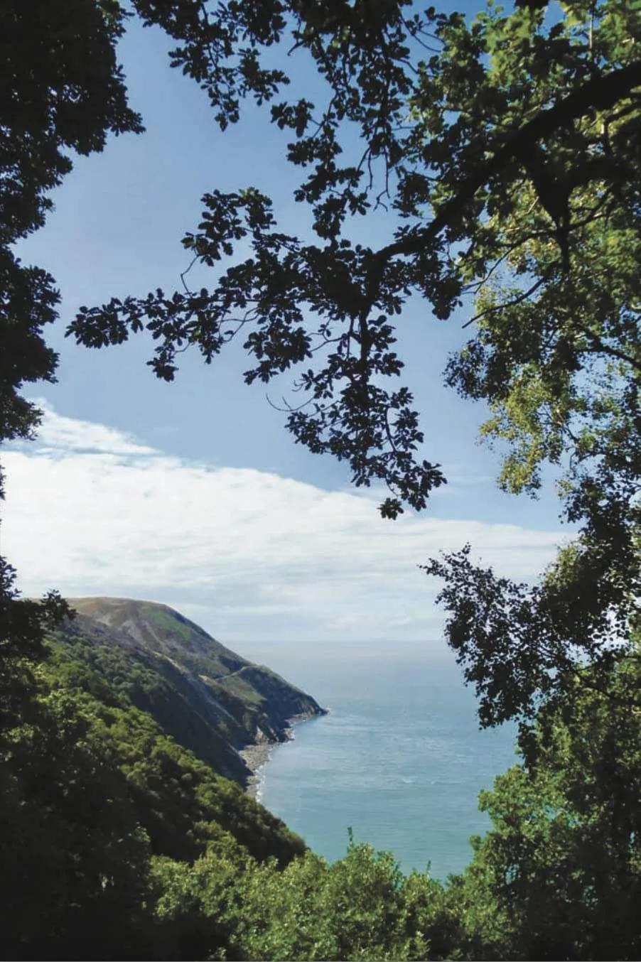 Exmoor & North Devon Coast Path by Trailblazer (2022)