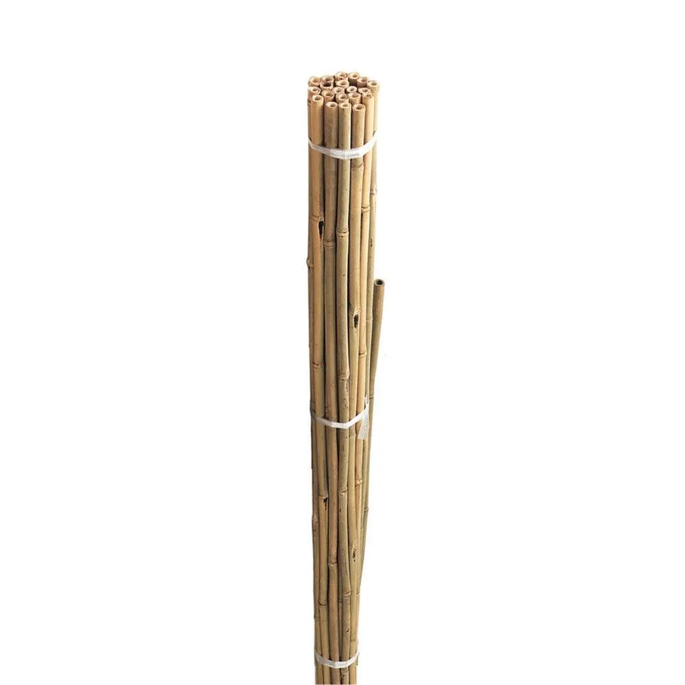 Grow It Bamboo Canes Bulk Bundle 120cm | Pack of 20