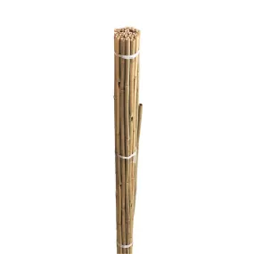 Grow It Bamboo Canes Bulk Bundle 120cm | Pack of 20