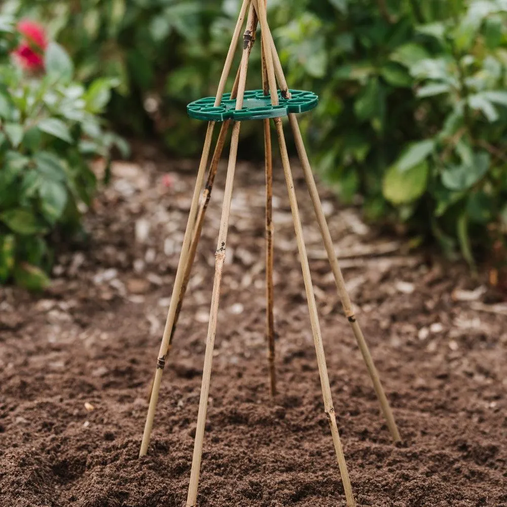 Grow It Bamboo Canes Bulk Bundle 120cm | Pack of 20