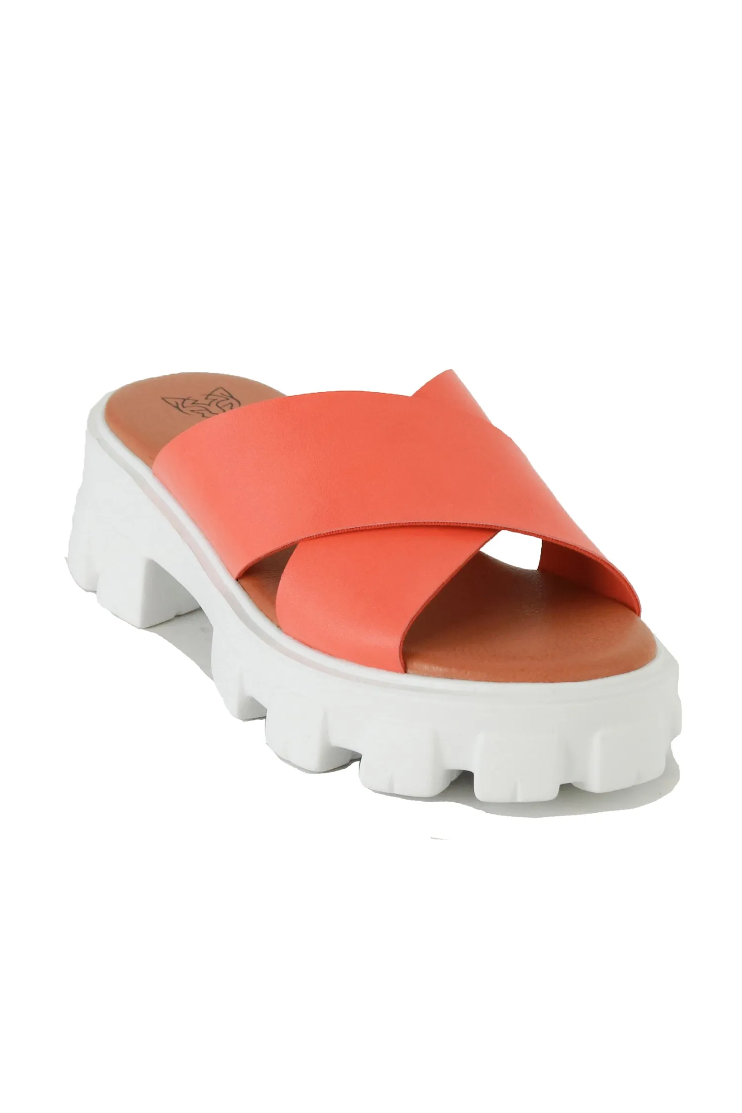 MACY-03