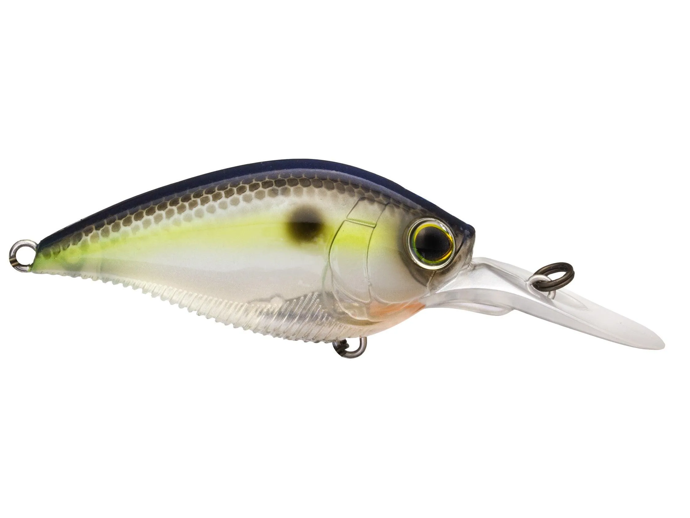 Yo-Zuri 3DB Series 1.5 Mid Range Crankbait