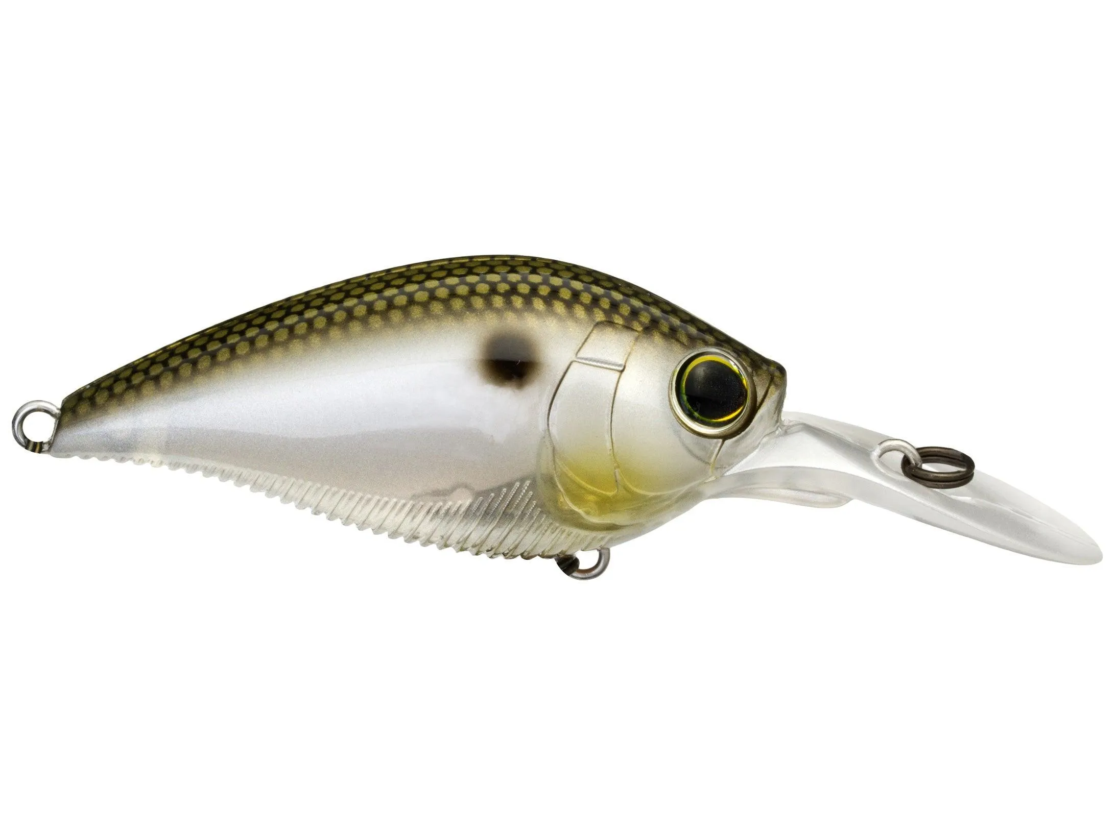 Yo-Zuri 3DB Series 1.5 Mid Range Crankbait