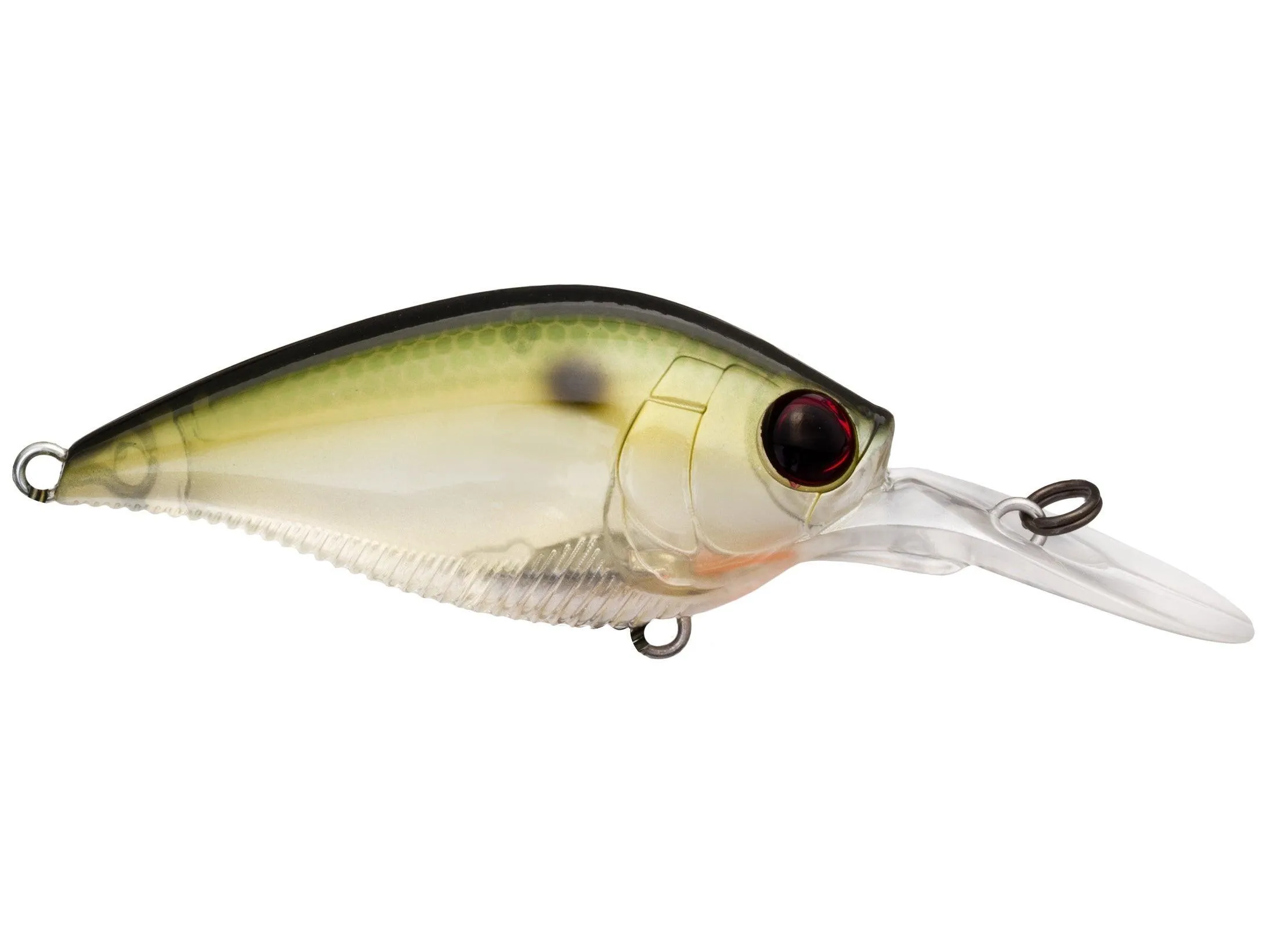 Yo-Zuri 3DB Series 1.5 Mid Range Crankbait